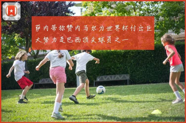 萨内蒂称赞内马尔为世界杯付出巨大努力是巴西顶尖球员之一