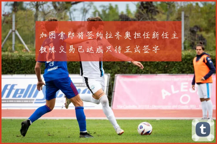 加图索即将签约拉齐奥担任新任主教练交易已达成只待正式签字