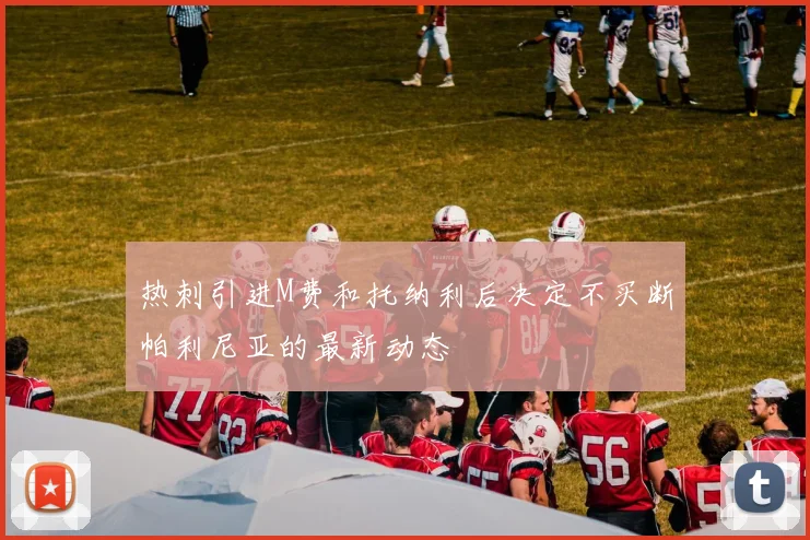 热刺引进M费和托纳利后决定不买断帕利尼亚的最新动态
