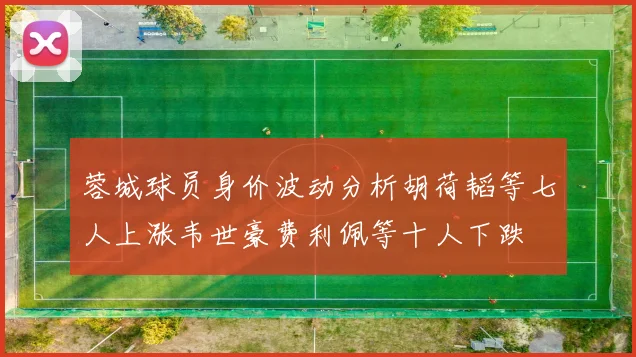 蓉城球员身价波动分析胡荷韬等七人上涨韦世豪费利佩等十人下跌